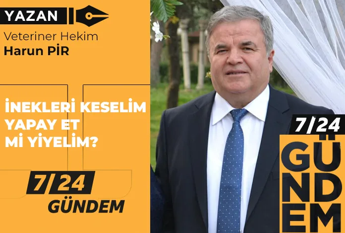 İnekleri keselim, yapay et mi yiyelim?