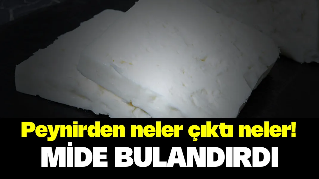 Peynirden neler çıktı neler!