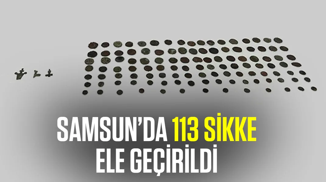 Samsun’da 113 sikke ele geçirildi