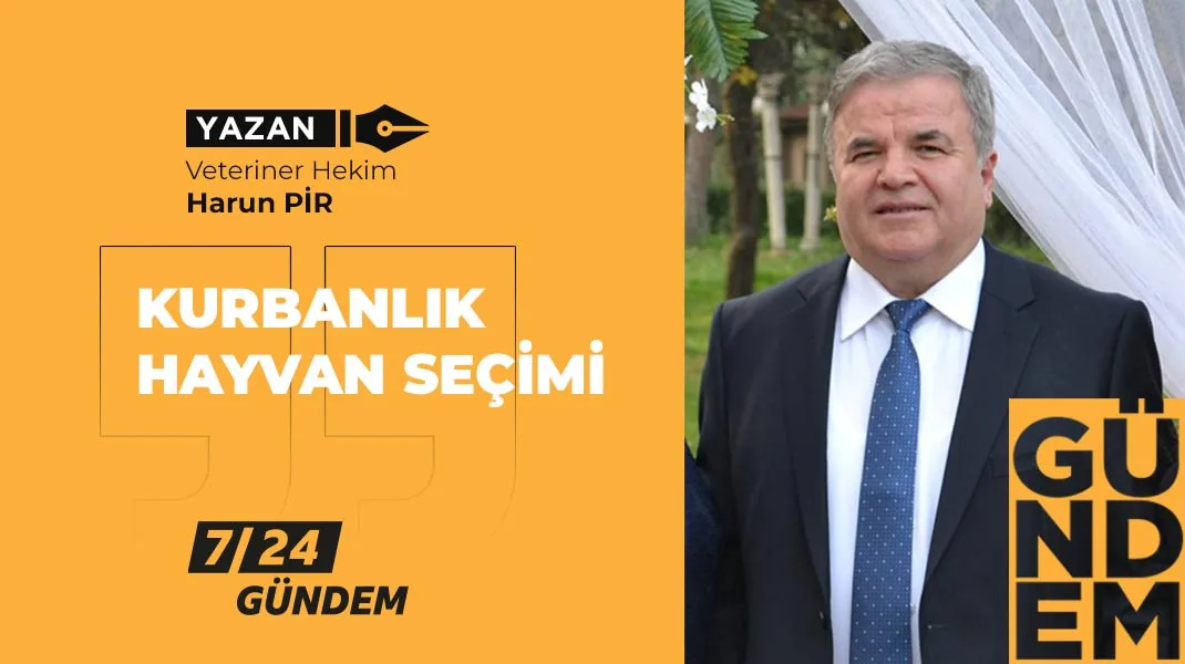Kurbanlık hayvan seçimi