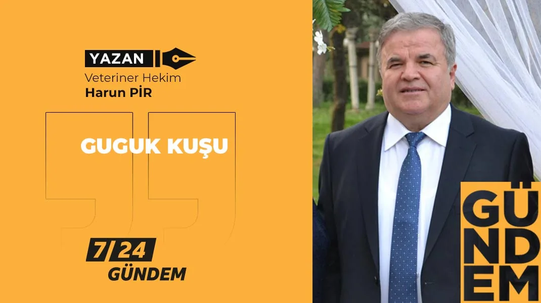 Guguk kuşu