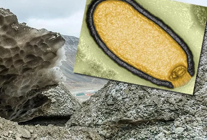 Bilim insanları 48 bin 500 yıllık ‘zombi virüsü’ yeniden canlandırdı