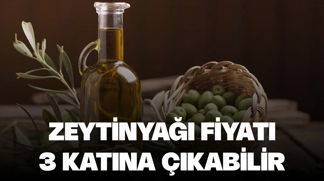 Zeytinyağının litresi 600 TL’yi aşabilir