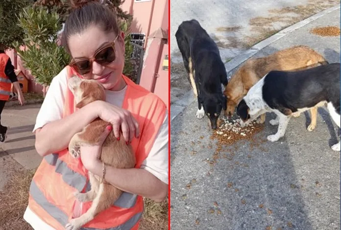 ‘Bubi’ güzel hareket