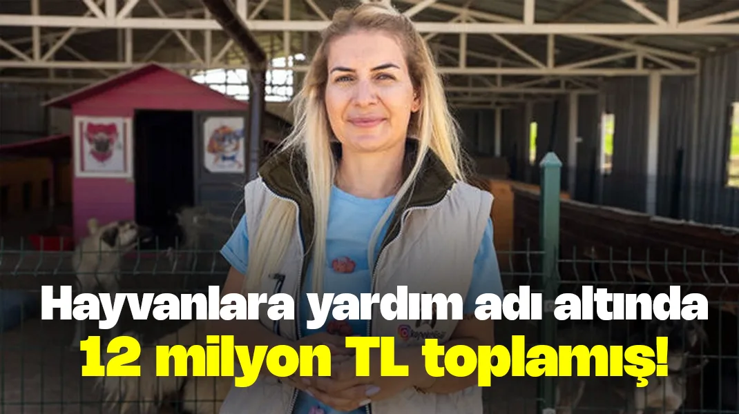 Hayvanlara yardım adı altında 12 milyon lira toplamış!