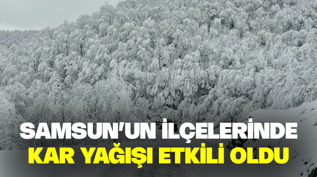 Samsun’un ilçelerinde kar yağışı etkili oldu