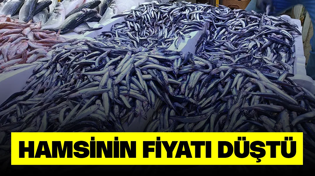 Hamsinin fiyatı düştü