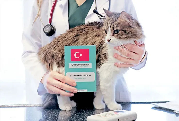 Evcil hayvanlara mikroçip uygulamasında süre uzatılacak mı?