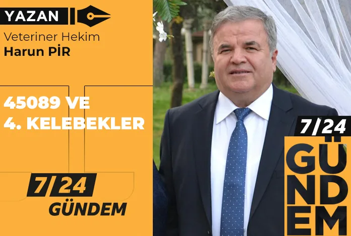 45089 ve 4. kelebekler