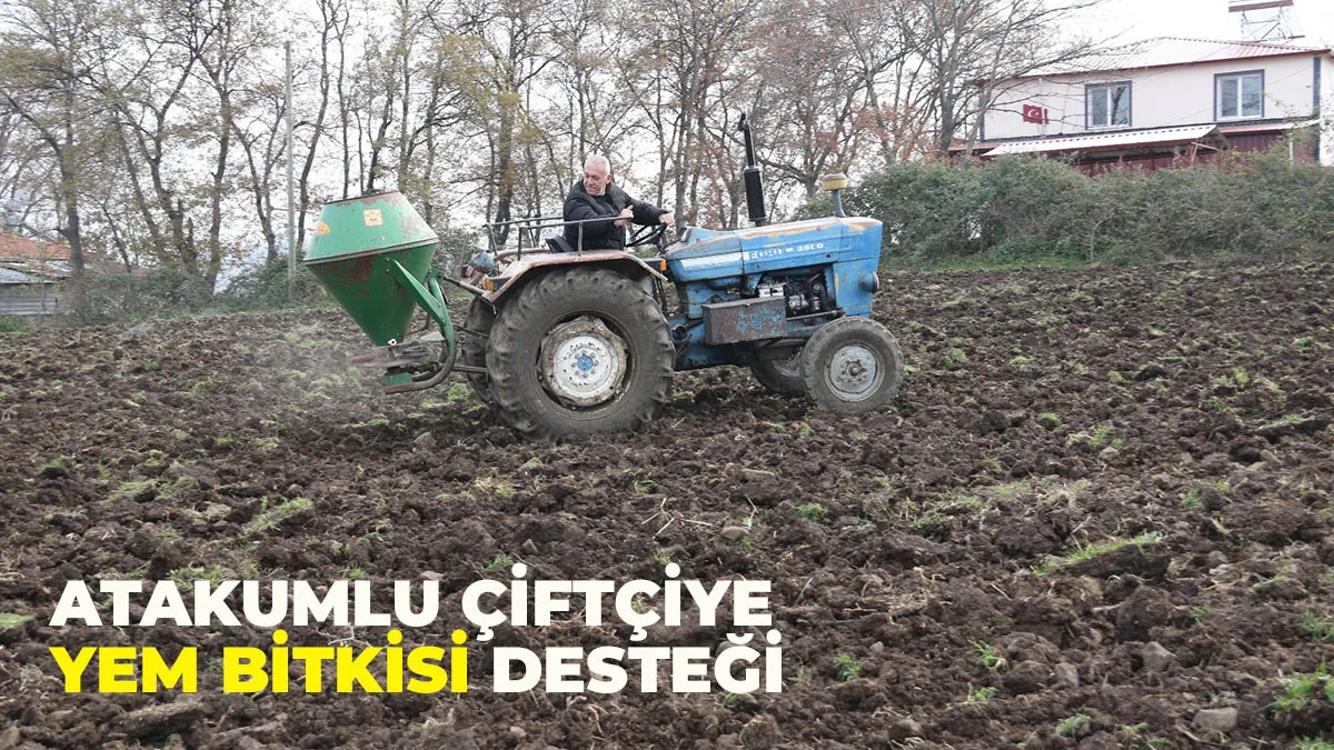 Atakum’da tarımla uğraşan ailelere yem bitkisi desteği 